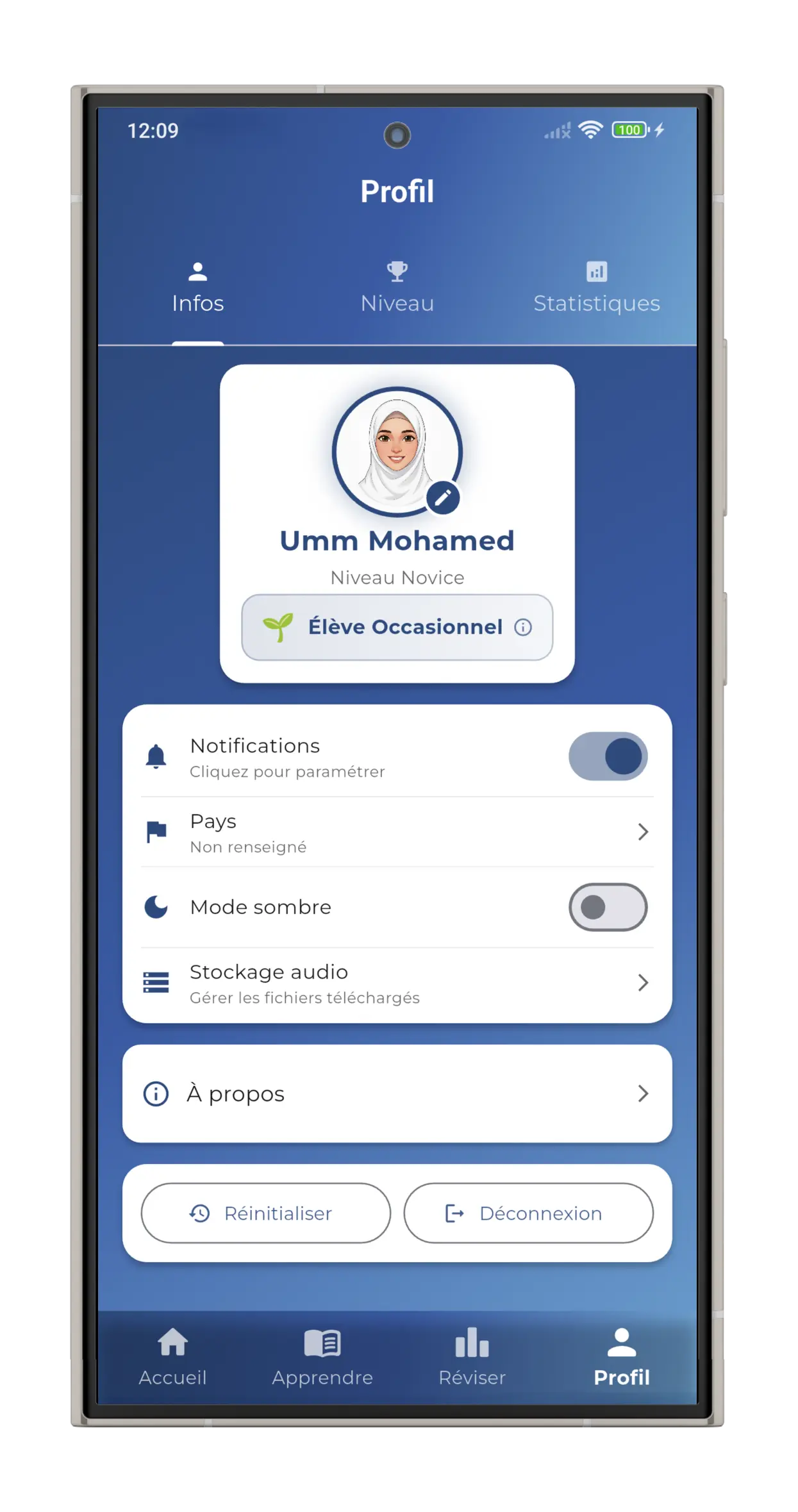 Page profil et statistiques de progression dans Ayatika